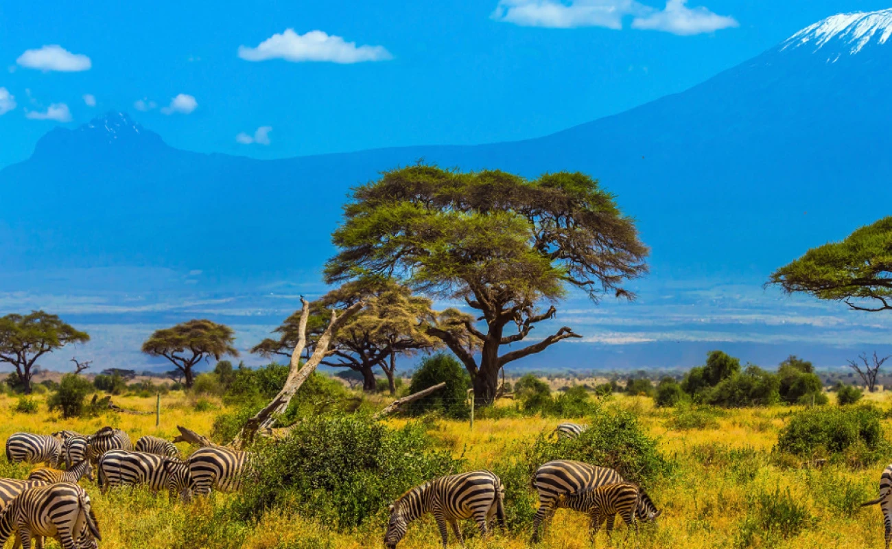 Luxury Kenya Fly-In Safari
