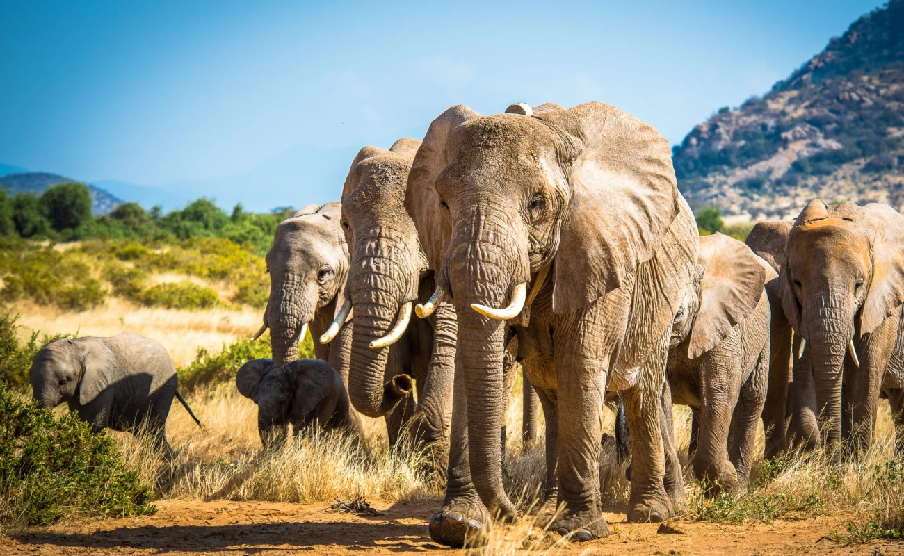 serengeti National Park