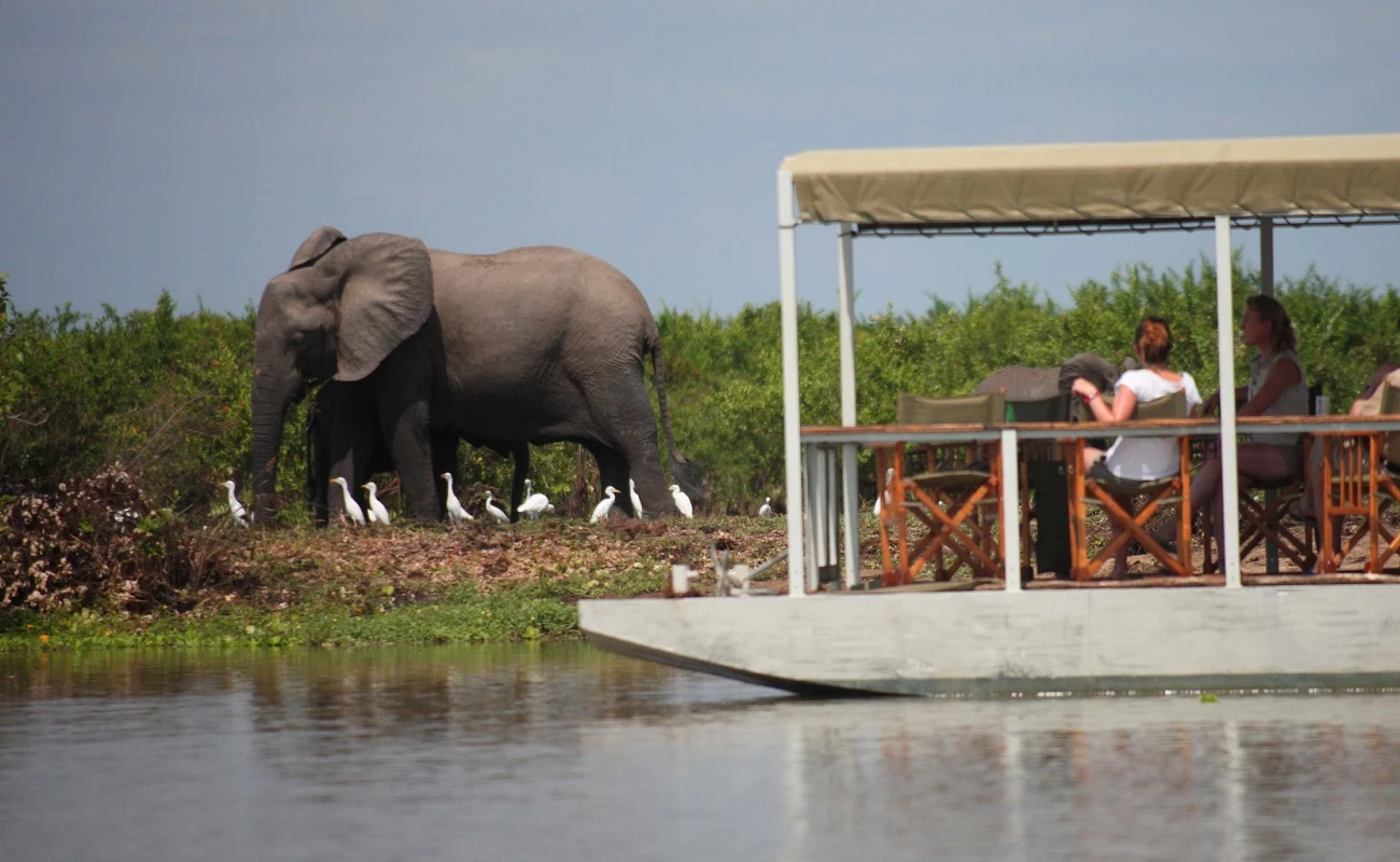 Nyerere National Park