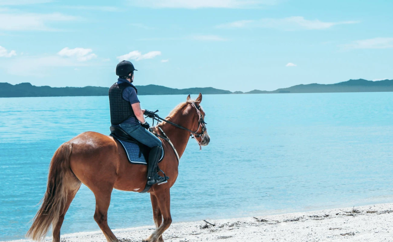Horse Riding Zanzibar