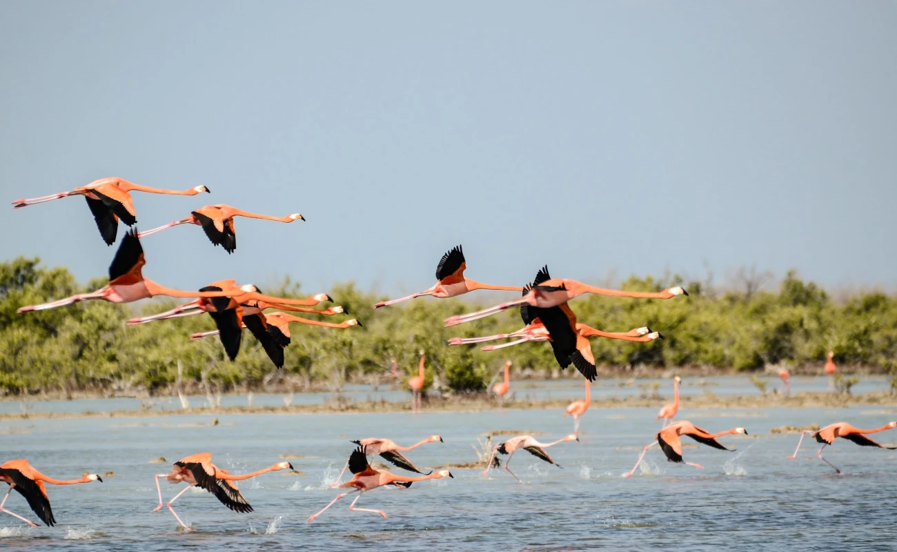 Masai Mara National Reserve