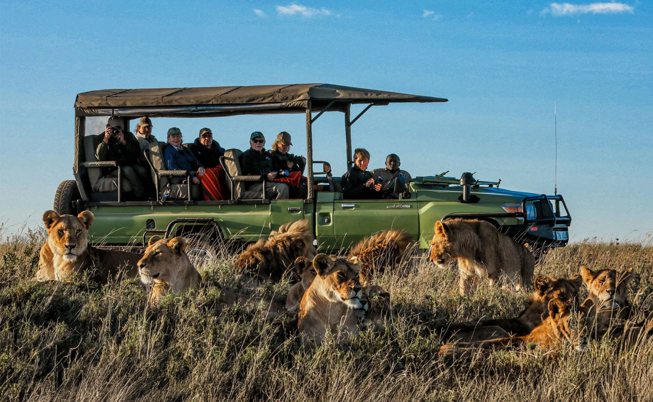 Honeymoon Great Migration, Big Five &amp;amp;amp;amp; Beach Safaris