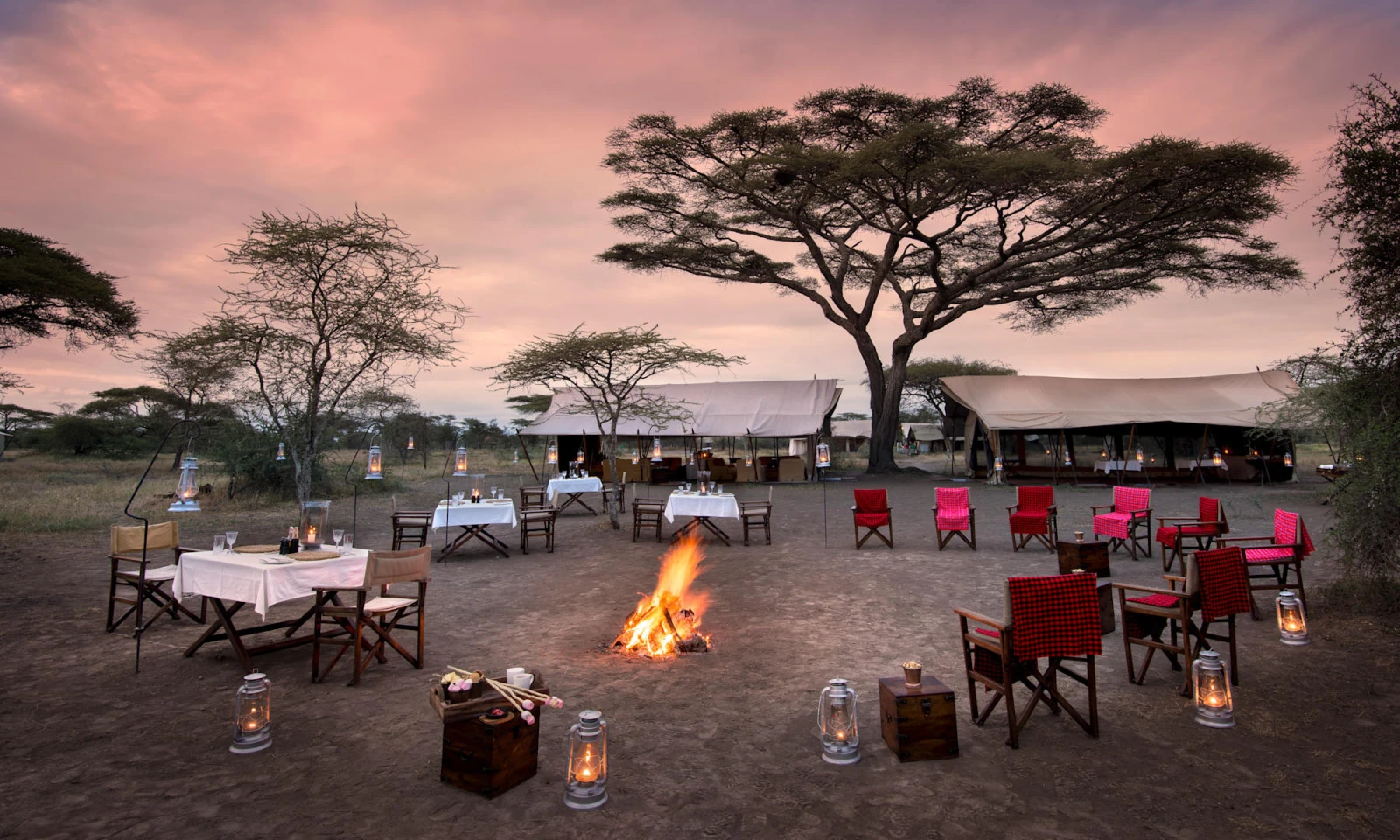 Serengeti – Sunset Safari and VIP Gala Dinner