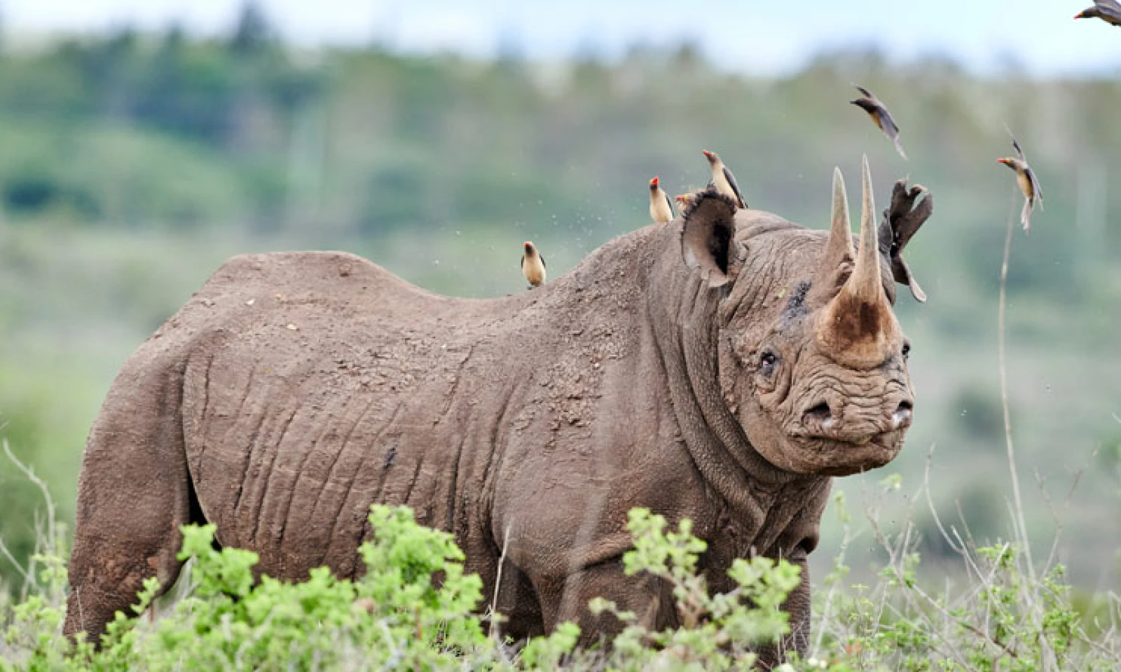 Departure from Nairobi