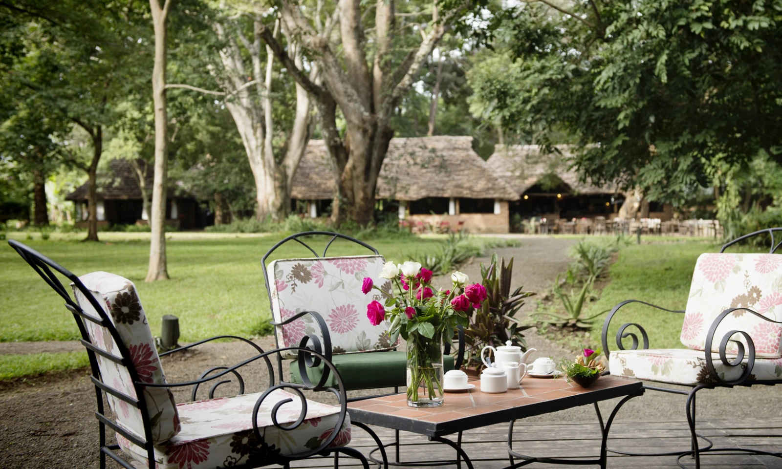 Arrival in Arusha – Setting the Stage for Inspiration