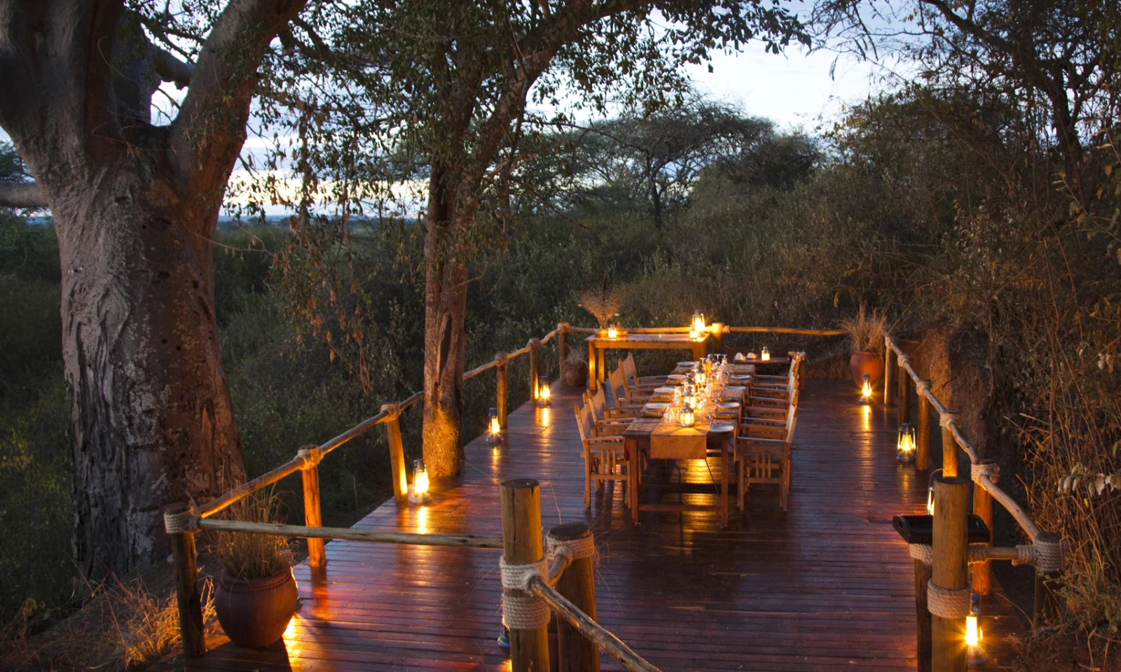 Arusha to Tarangire – A Journey Through the Elephant Kingdom