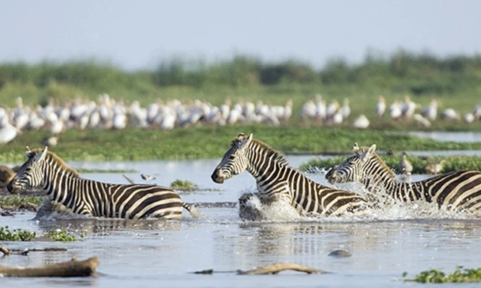 Ngorongoro Crater – A Day to Reflect and Capture the Wild