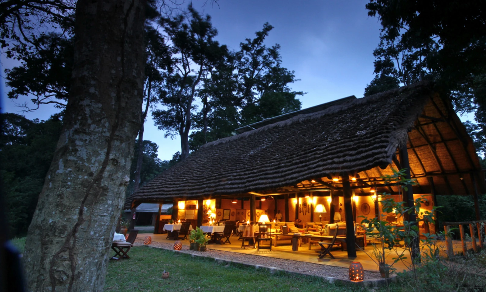 Kibale – Queen Elizabeth NP (Ishasha Sector)