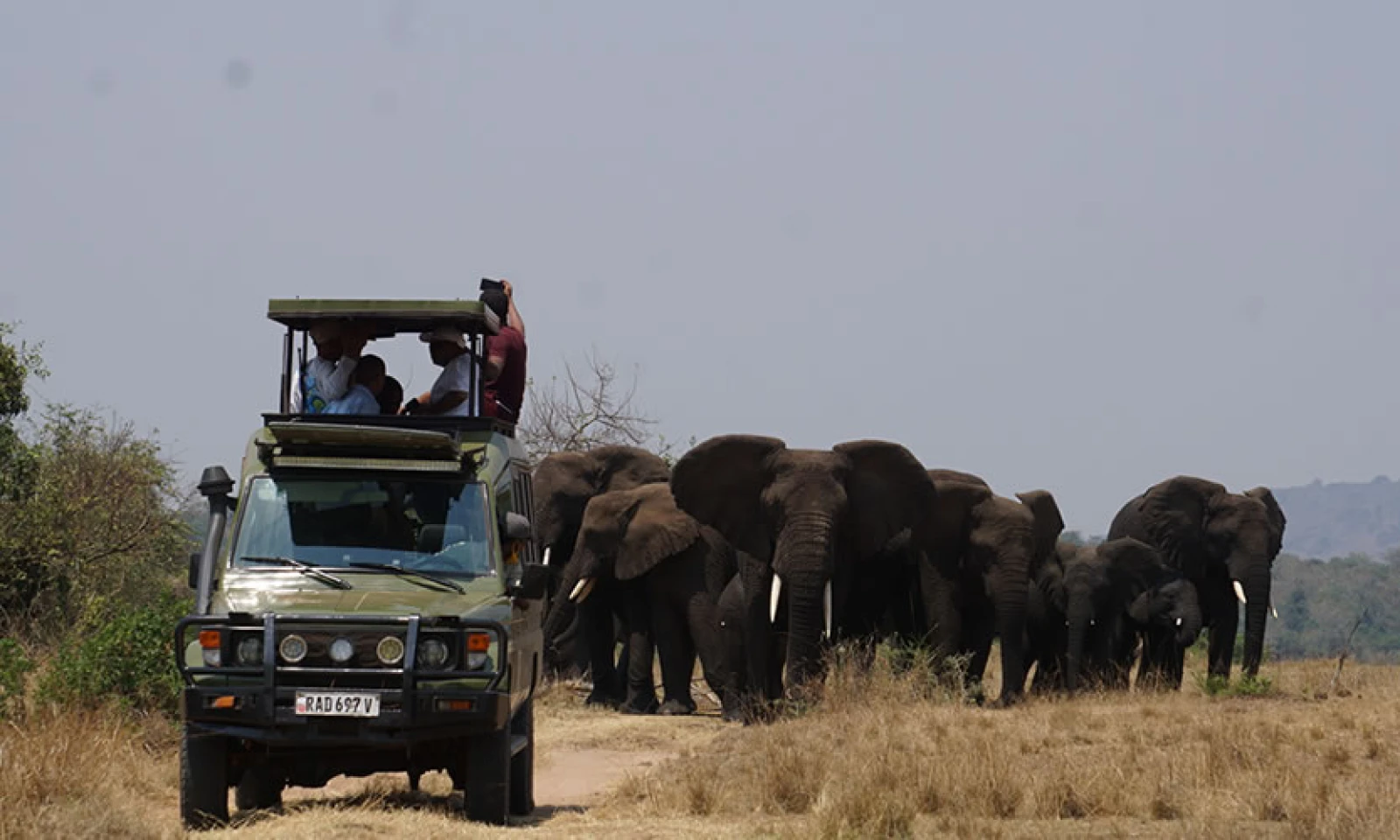 Morning Game Drive & Transfer Back to Kigali