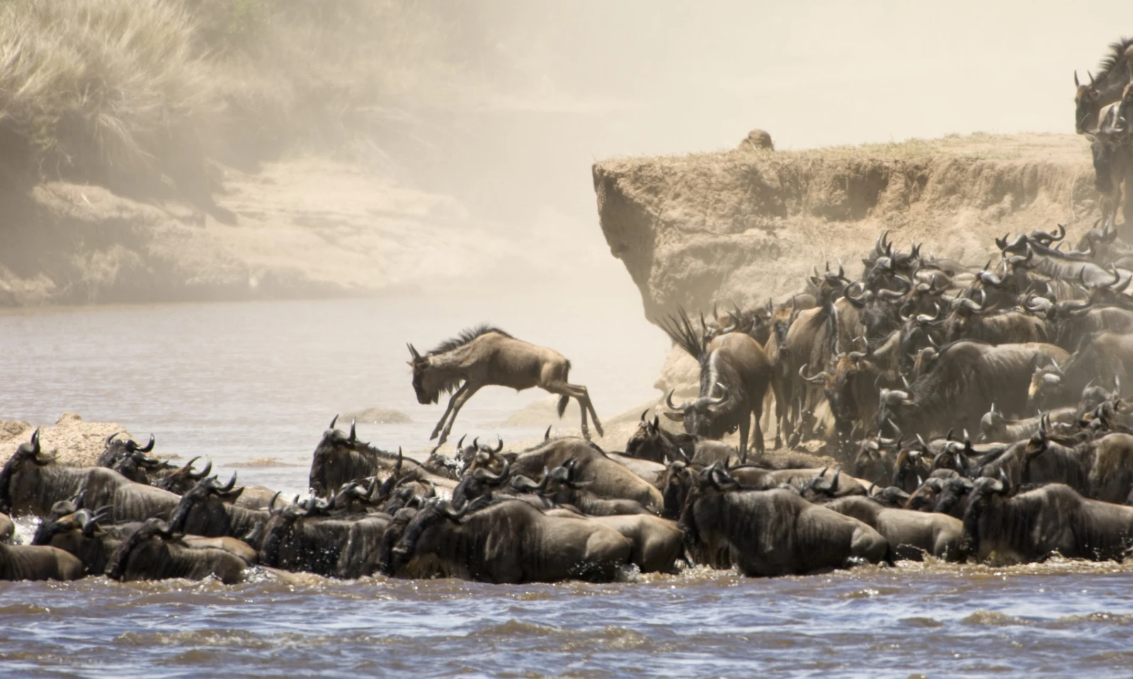 Full Day Masai Mara – Big Five & Migration Safari