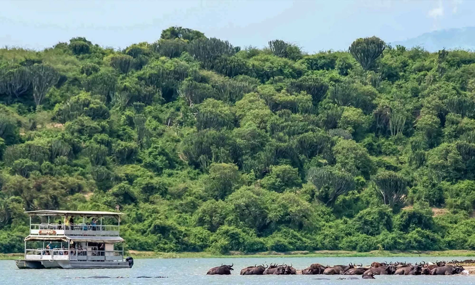 Full Day Queen Elizabeth National Park – Wildlife & Kazinga Channel Cruise