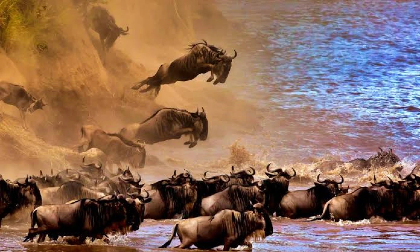 Masai Mara – Great Migration & River Crossings