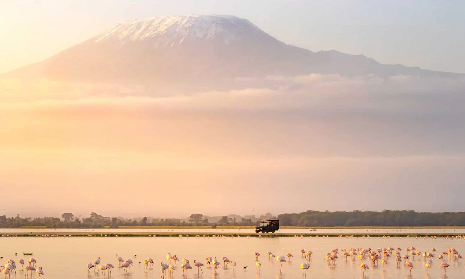 Masai Mara → Amboseli – From Savannah to Kilimanjaro