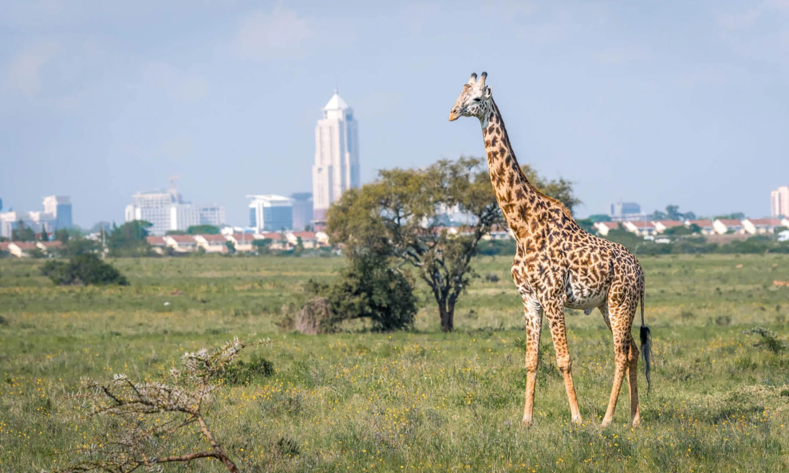 Kigali → Nairobi – Seamless Cross-Border Transition