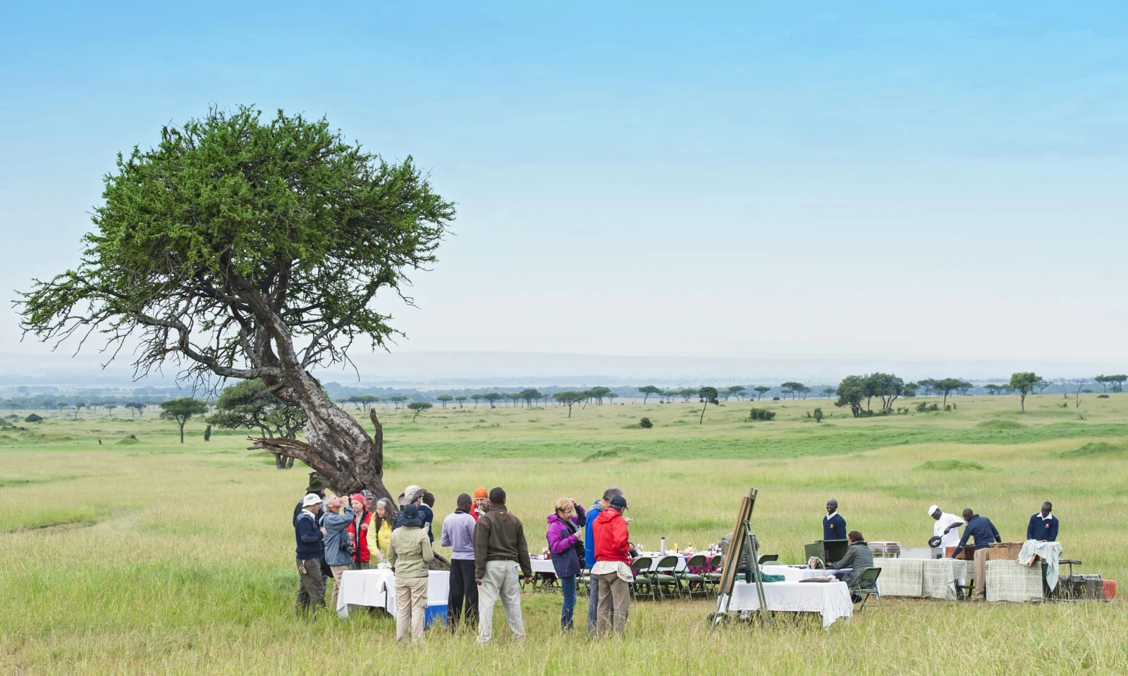 Full Day in Tarangire – Immersive Safari Experience