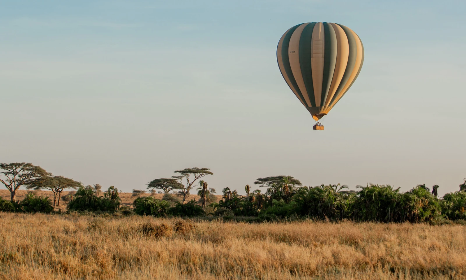 Full Day in Central Serengeti – Sunrise Balloon Safari & Wildlife Immersion