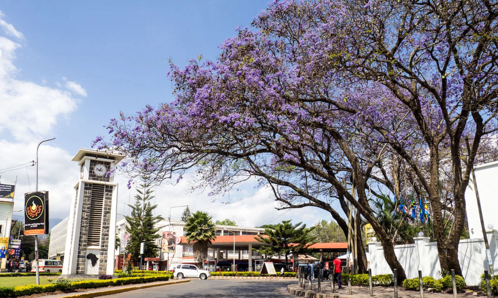 Arusha City Tour, Lake Duluti & Departure – Farewell to East Africa