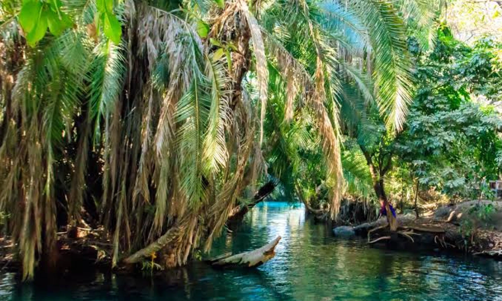 Materuni Coffee Tour & Chemka Hot Springs – Culture, Scenery, and Relaxation