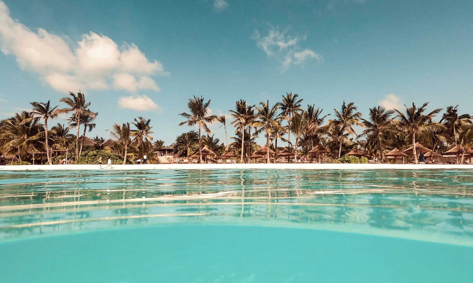 Arusha → Zanzibar – Arrival in Tropical Paradise