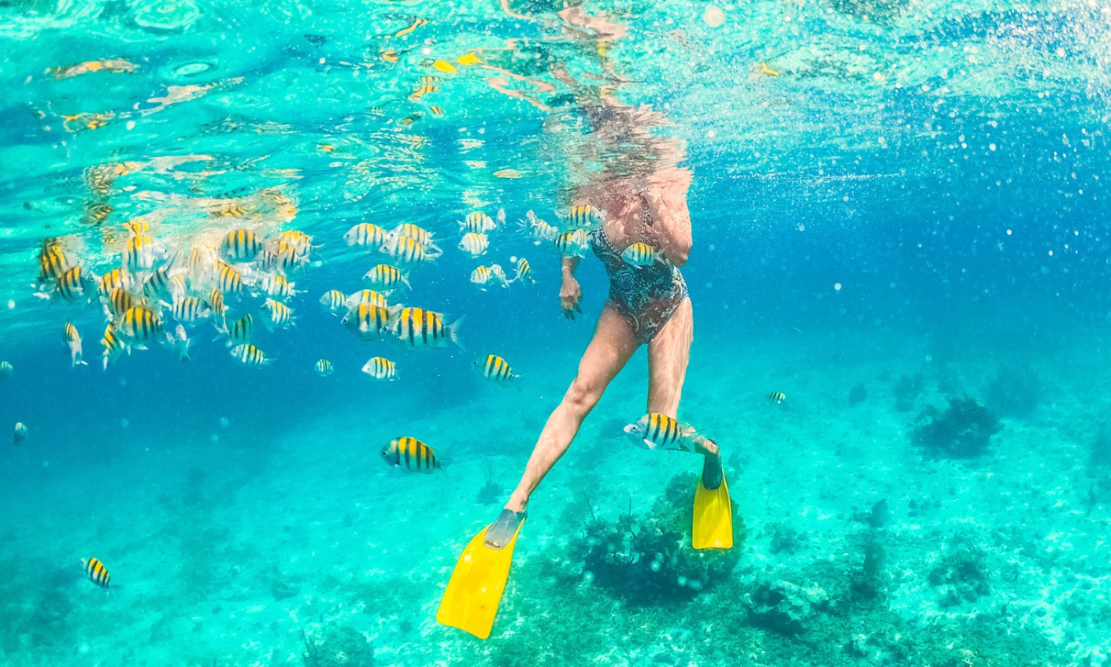 Zanzibar – Full Day of Tropical Bliss