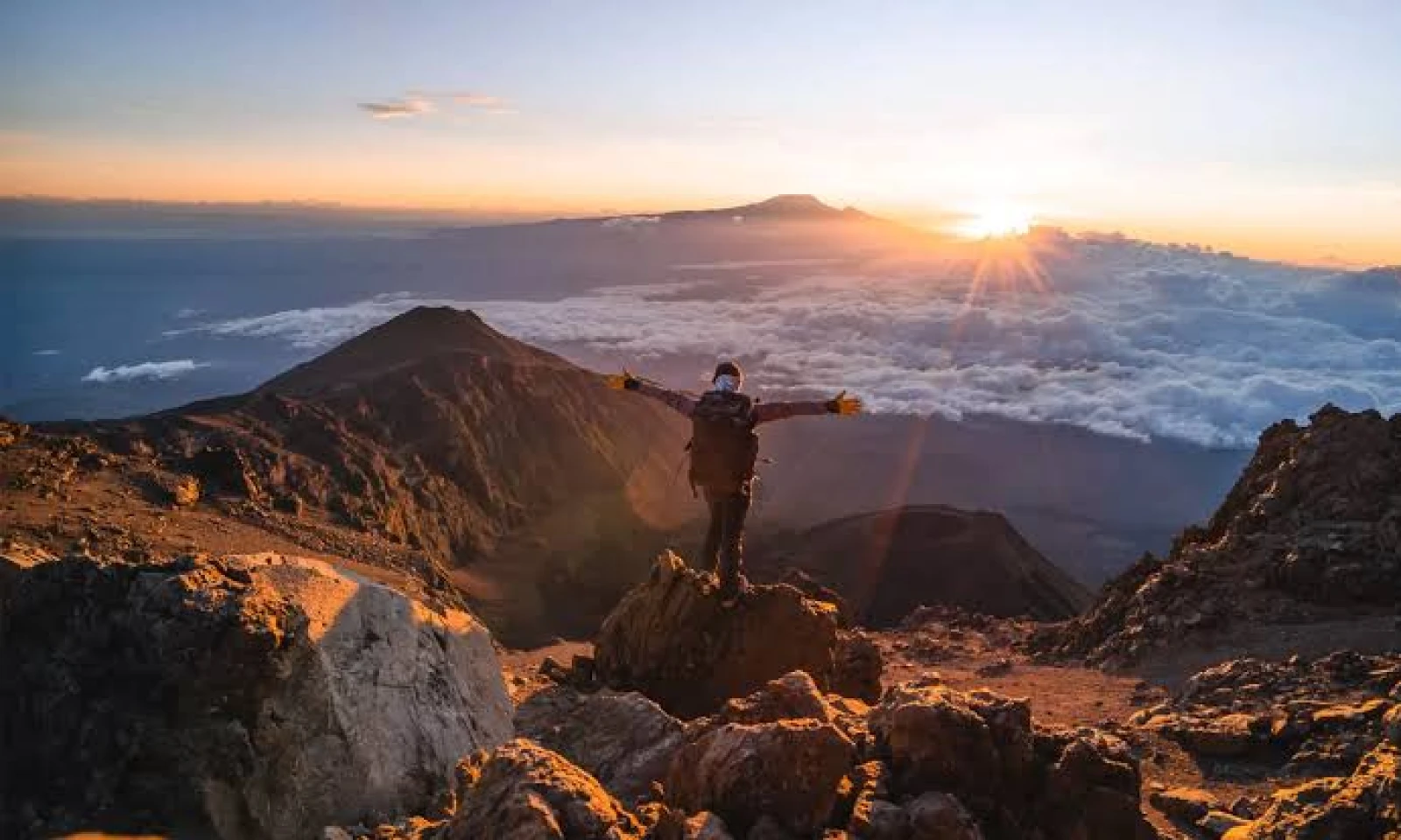 Mandara Huts → Horombo Huts – Into the Moorlands of Kilimanjaro