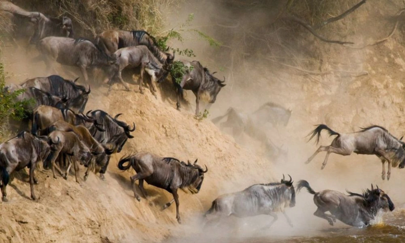 Arusha → Serengeti (Kogatende) – Migration Safari Begins