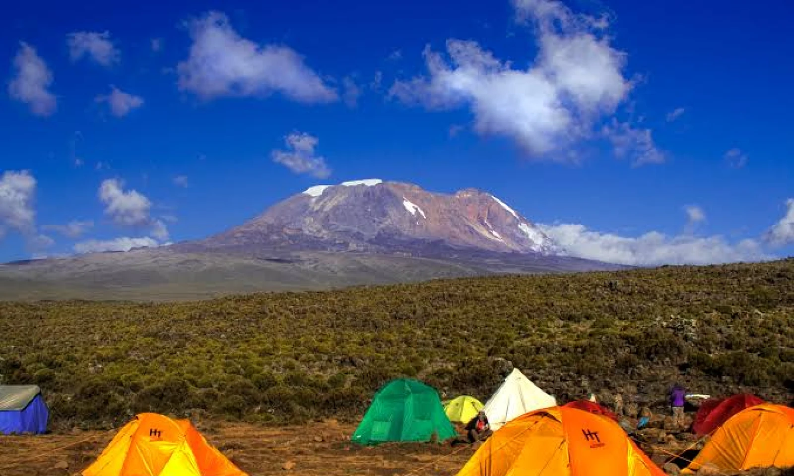 Machame Camp → Shira Camp – Moorland Wonders
