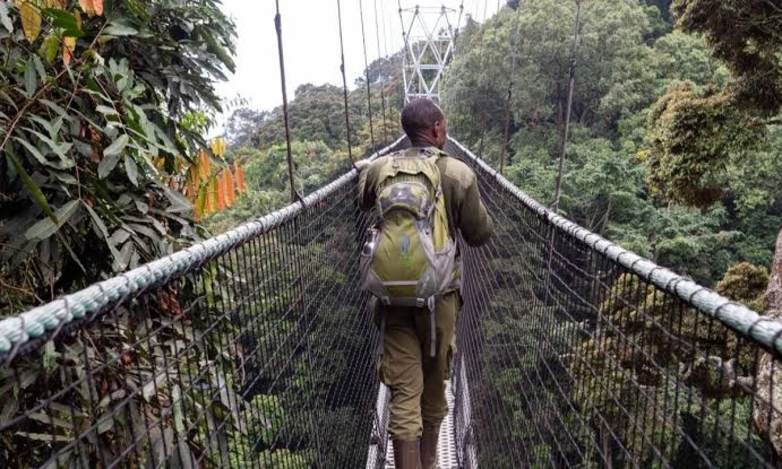 Kigali → Nyungwe Forest – Journey into Rwanda’s Ancient Rainforest 
