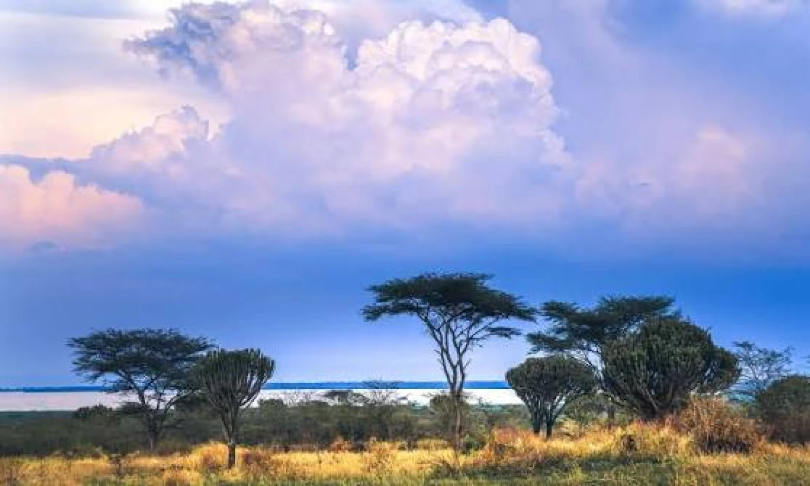 Bwindi → Queen Elizabeth National Park – Scenic Rift Valley Journey 