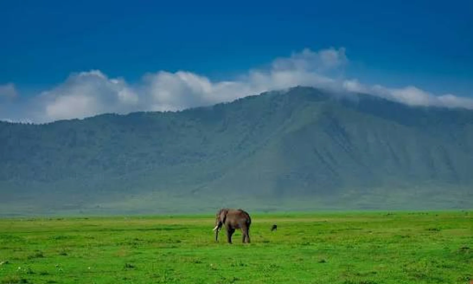 Tarangire → Ngorongoro Highlands – Iconic Crater & Big Five Safari 