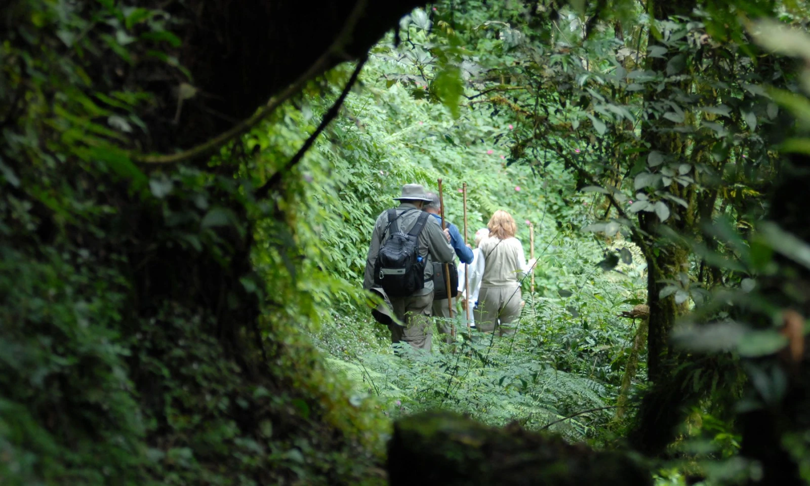 Kigali Cultural Immersion & Scenic Journey to Volcanoes National Park