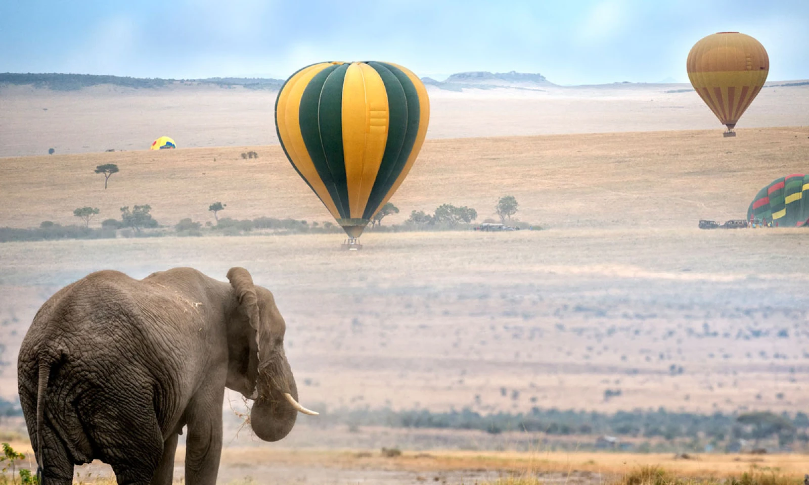 Maasai Mara – Sunrise Balloon Safari & Big Five Encounters
