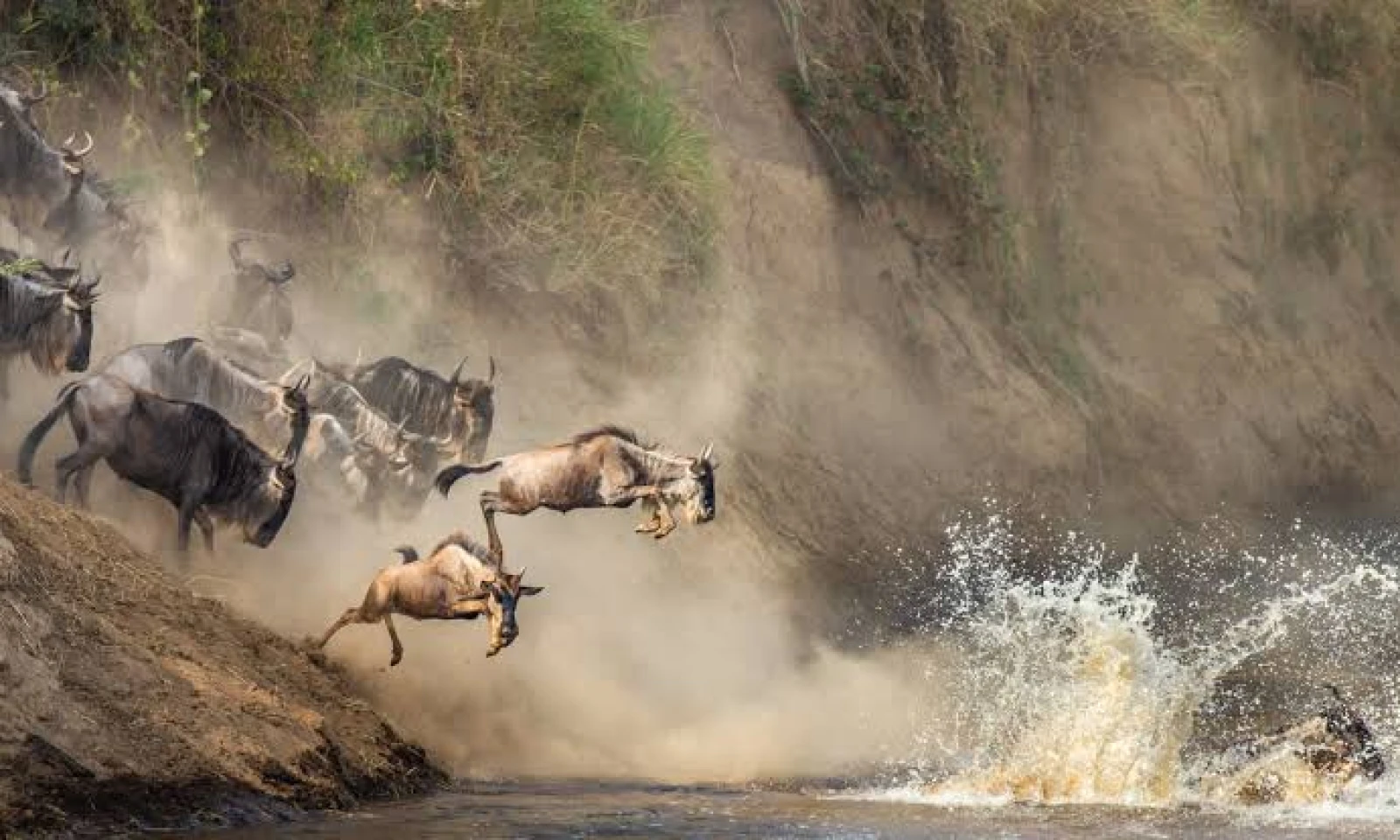 Masai Mara to Serengeti National Park – Legendary Cross-Border Safari
