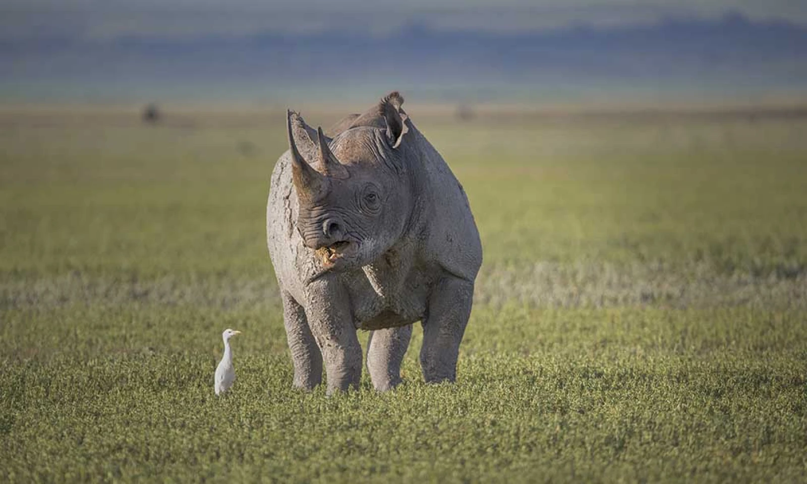 Ngorongoro Crater → Tarangire National Park – Crater Safari & Scenic Transfer