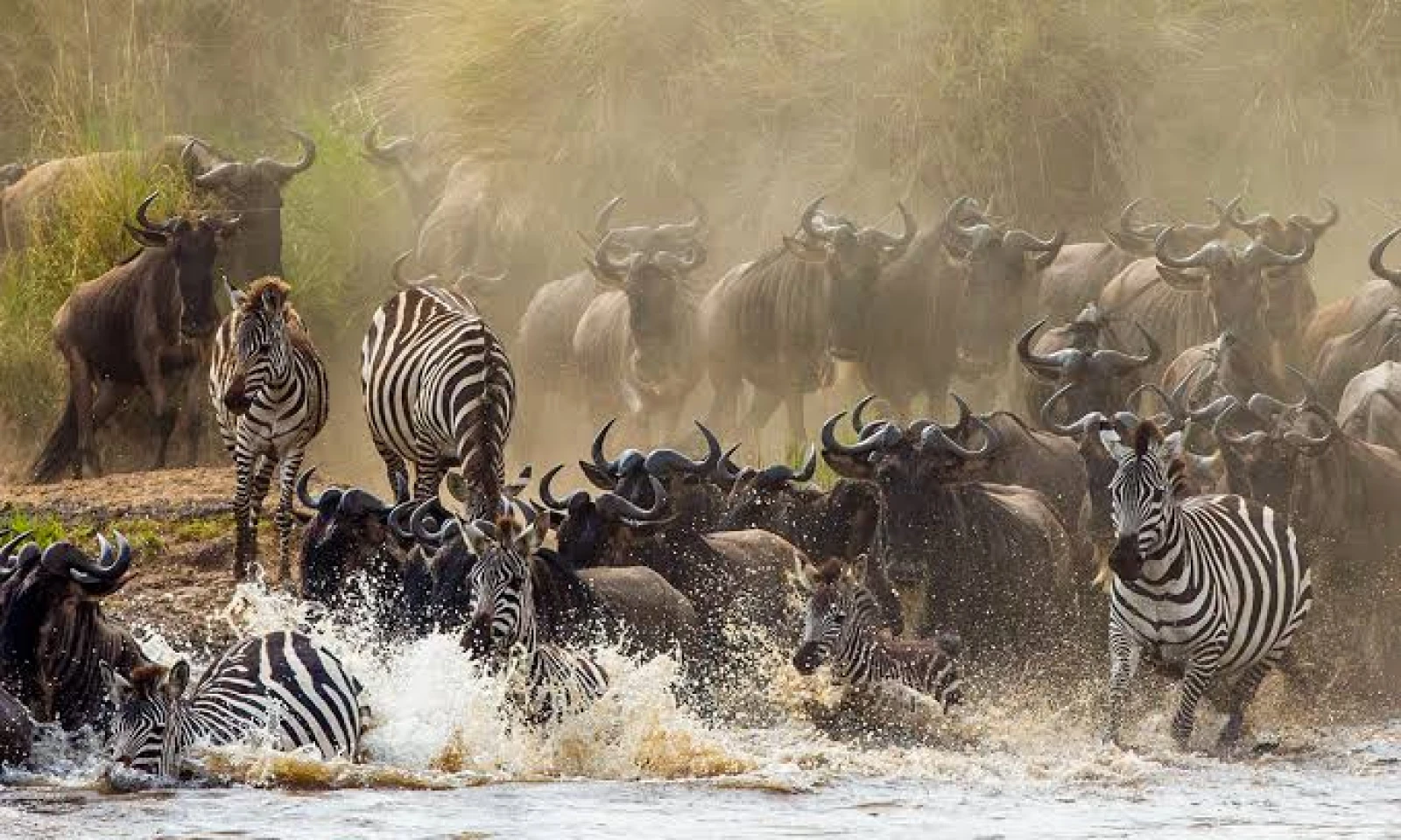 Amboseli → Masai Mara – Into the Heart of the Great Migration 