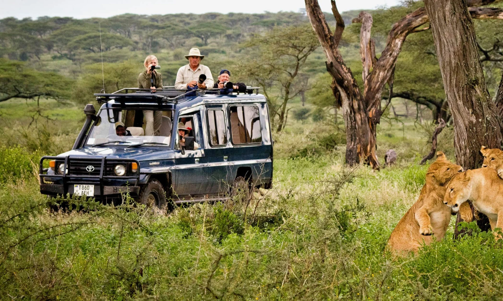Serengeti – Full-Day Safari & Great Migration Experiences 