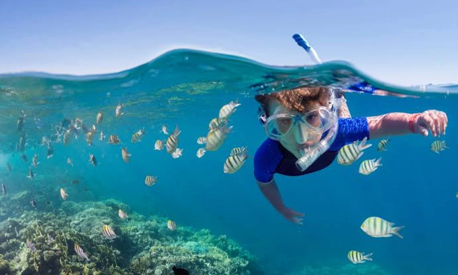 Zanzibar – Snorkeling & Oceanic Exploration 