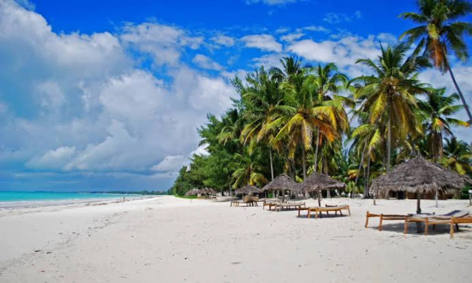 Tarangire → Zanzibar – Tropical Beach Arrival & Indulgence 