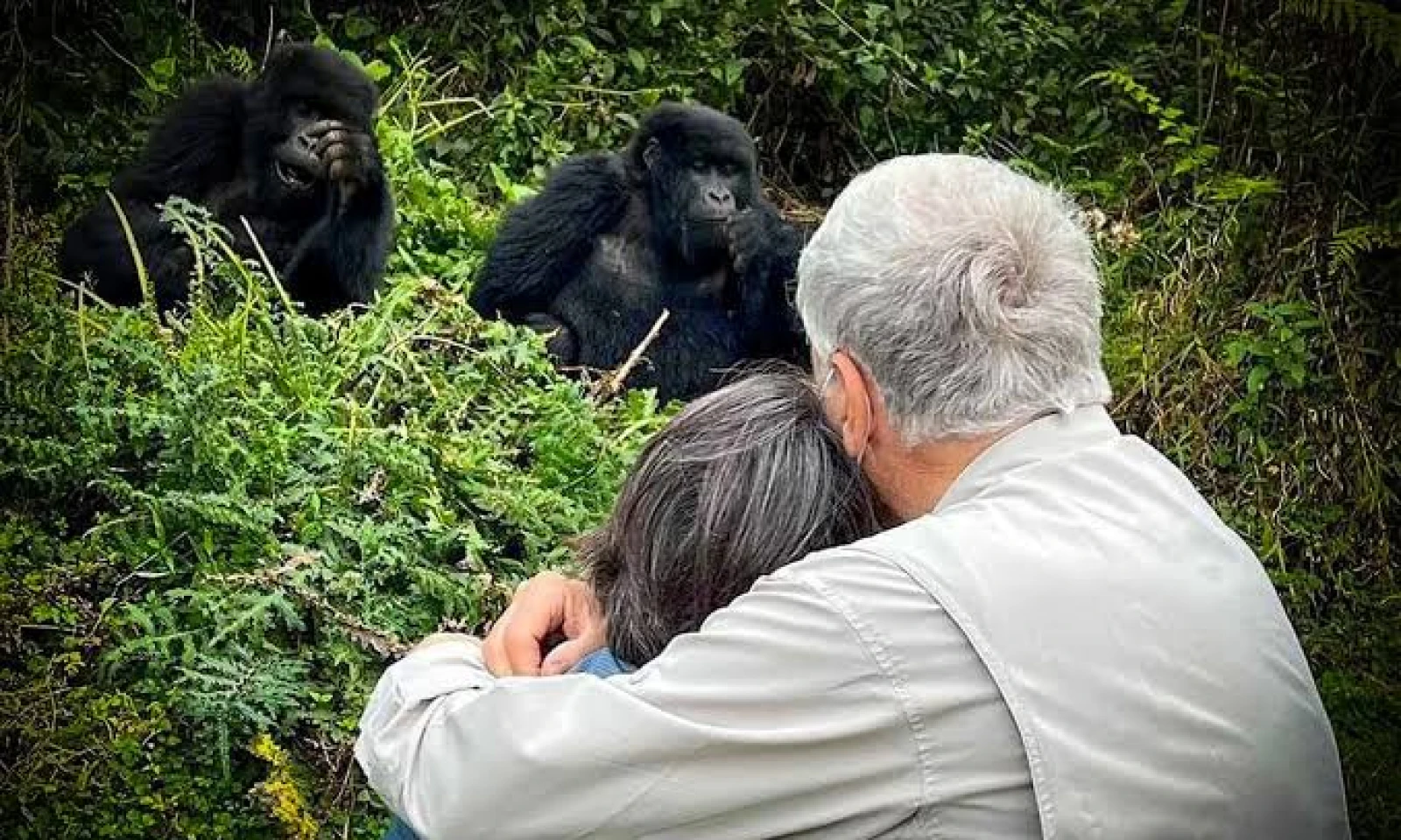 Gorilla Trekking Experience – Volcanoes National Park 