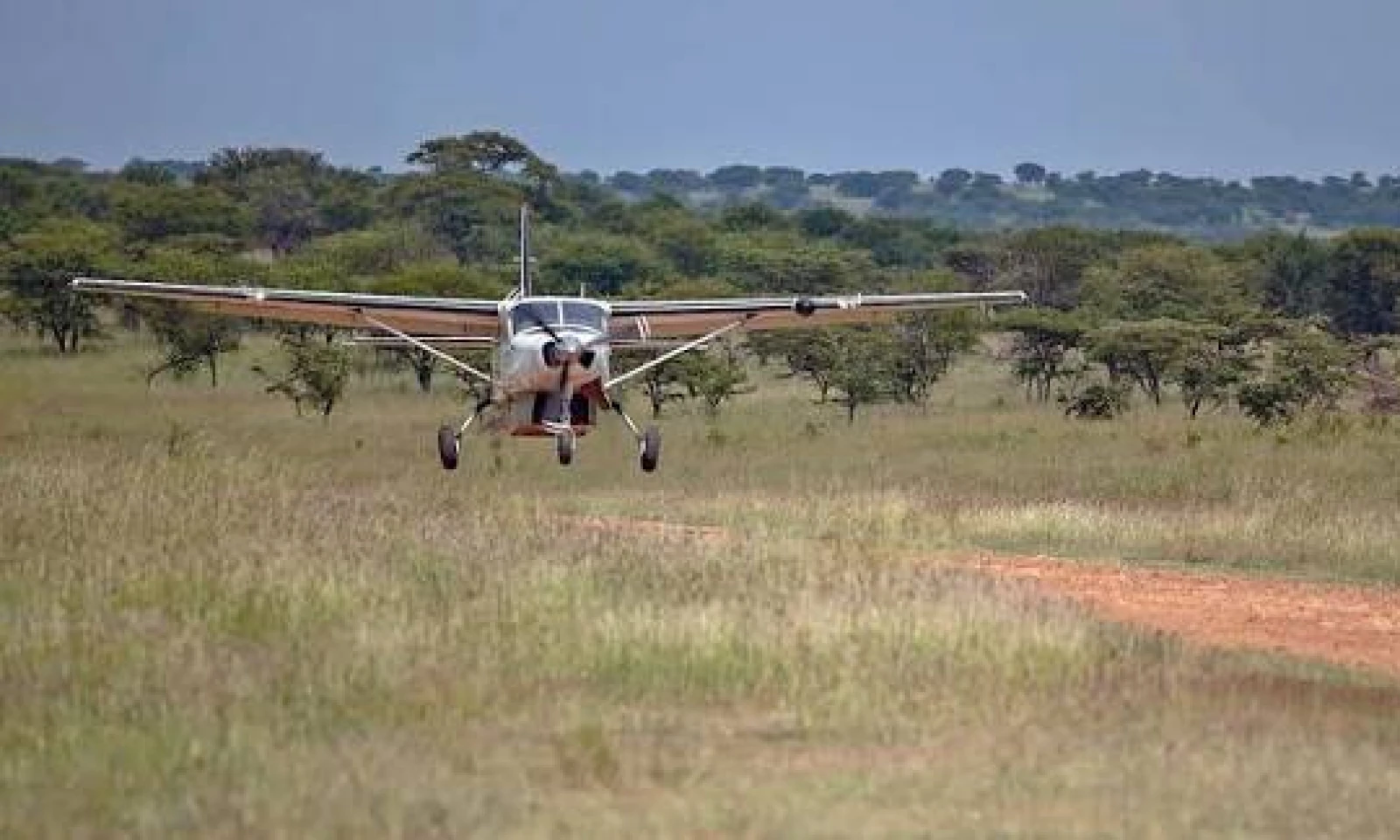 Transfer to Serengeti – Tanzania 