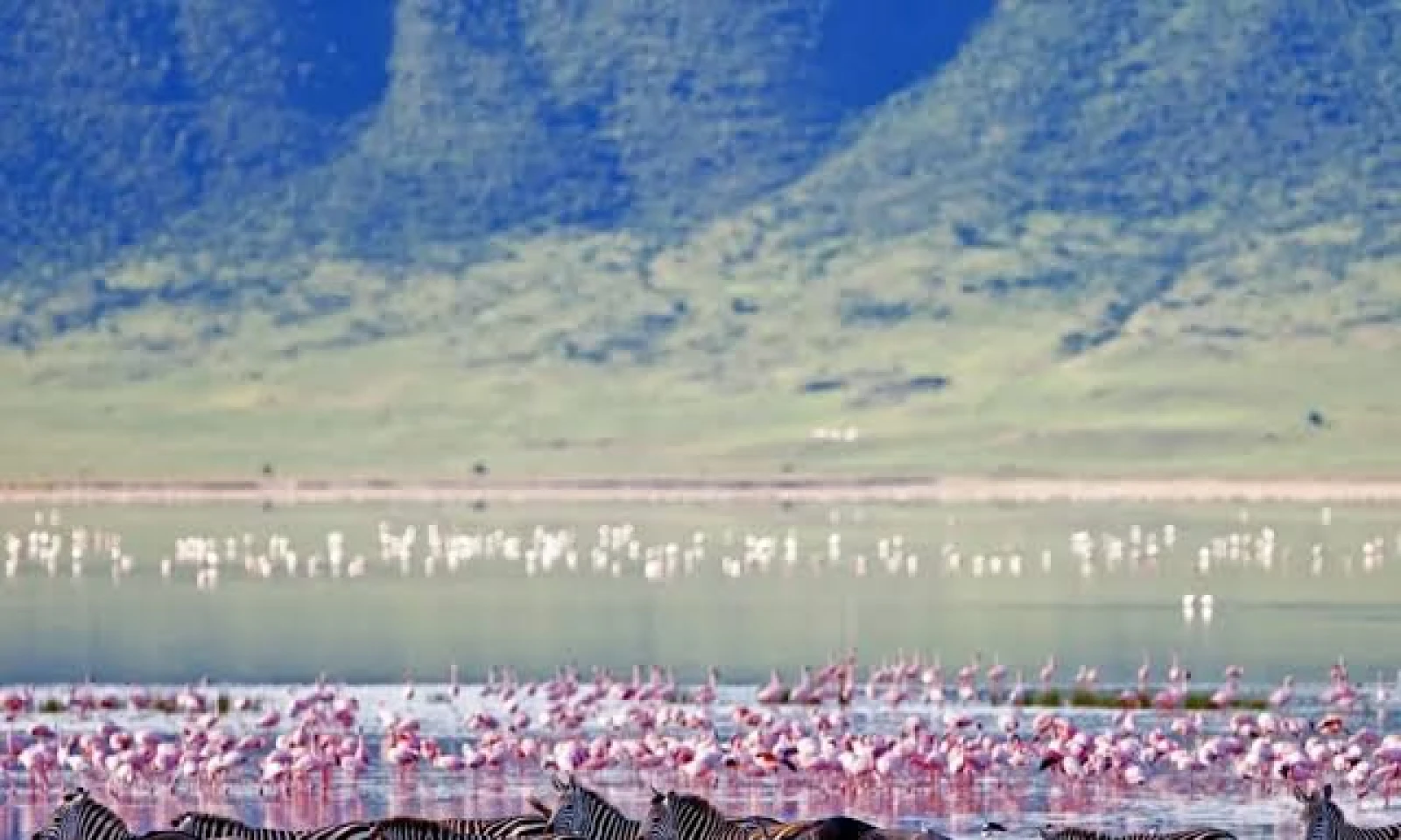 Ngorongoro Crater Safari – Wildlife in a Natural Wonder 