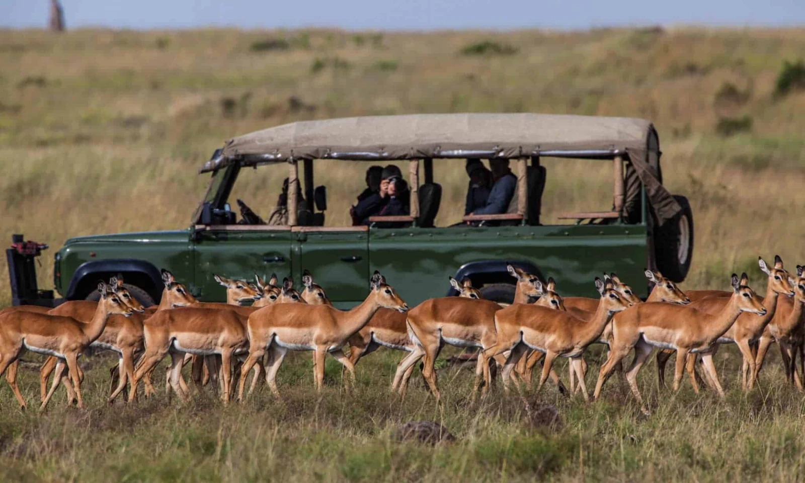 Masai Mara Safari Experience – Deeper Into the Wild
