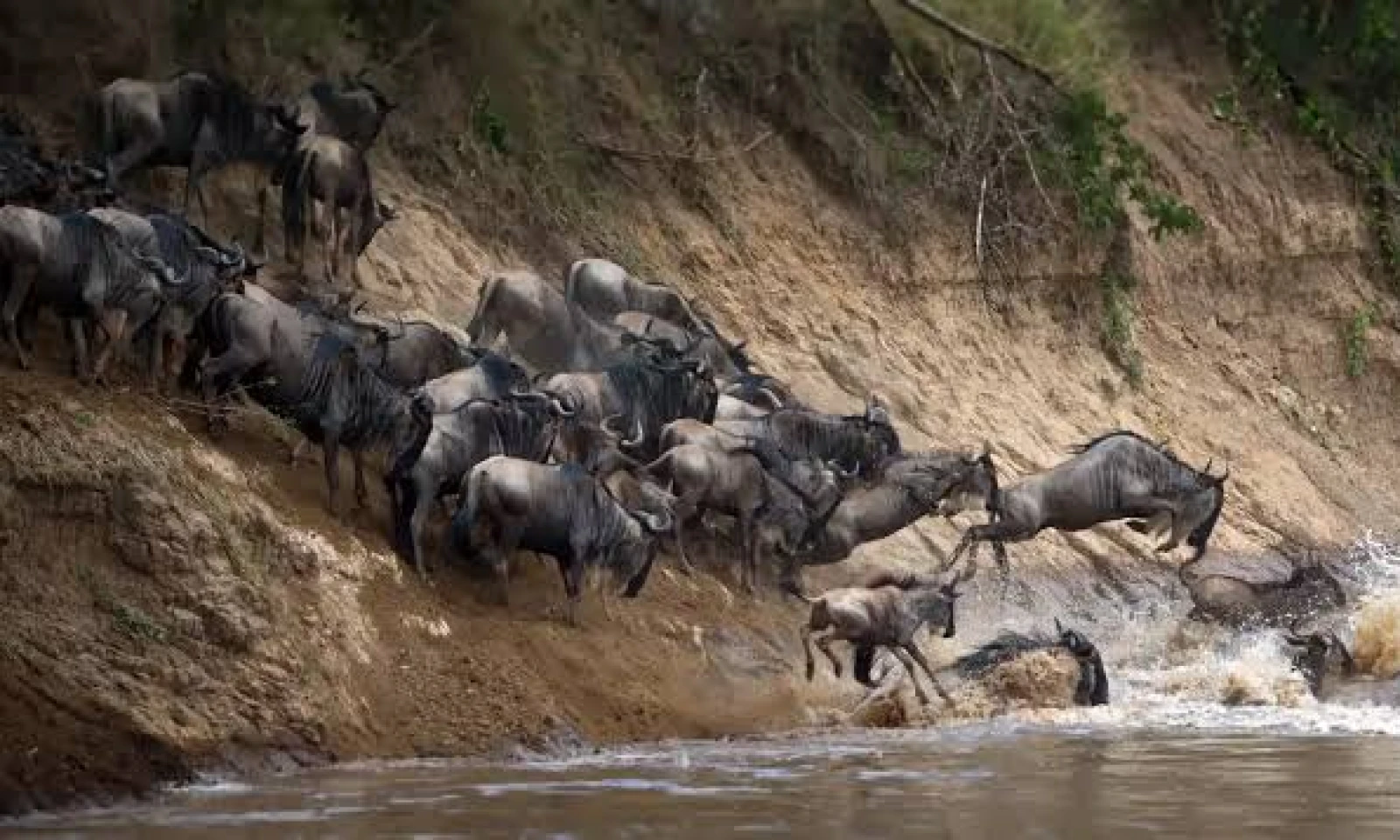 Masai Mara → Serengeti – Crossing into Tanzania