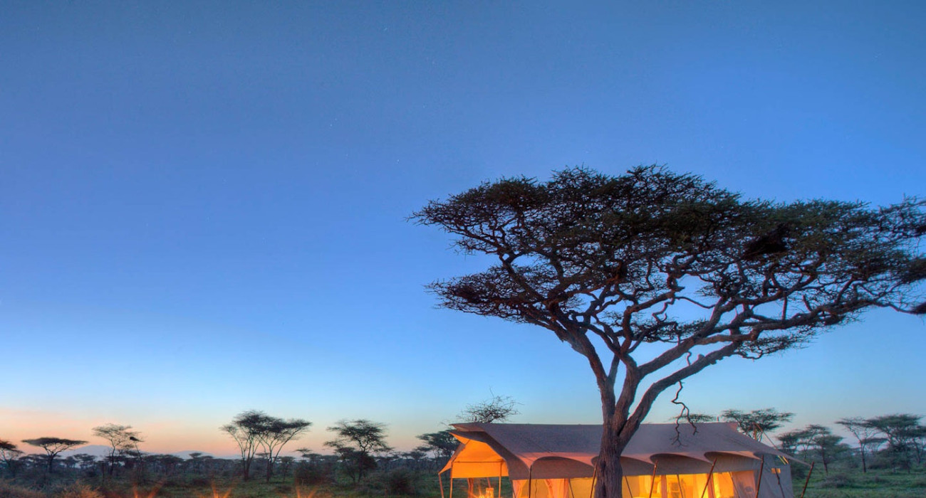 Serengeti Under Canvas 