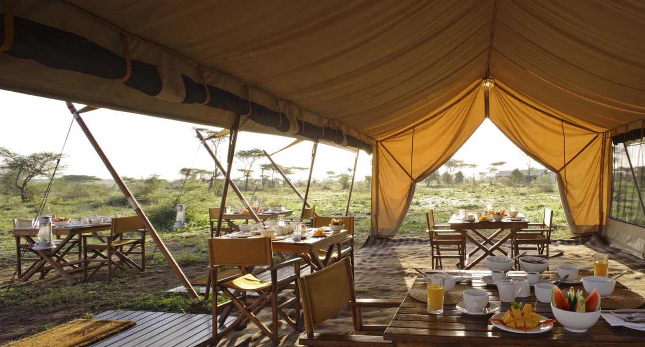 serengeti under canvas
