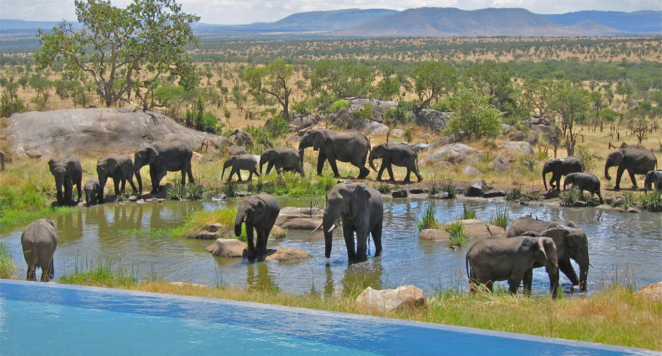 Four Seasons Safari Lodge Serengeti