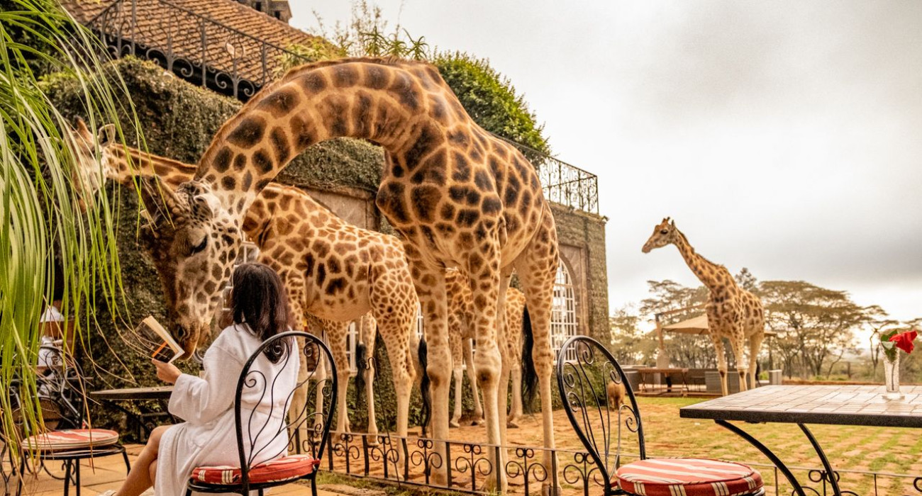 Giraffe Manor
