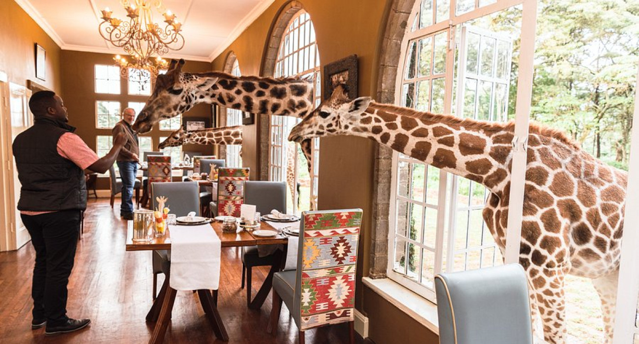 Giraffe Manor