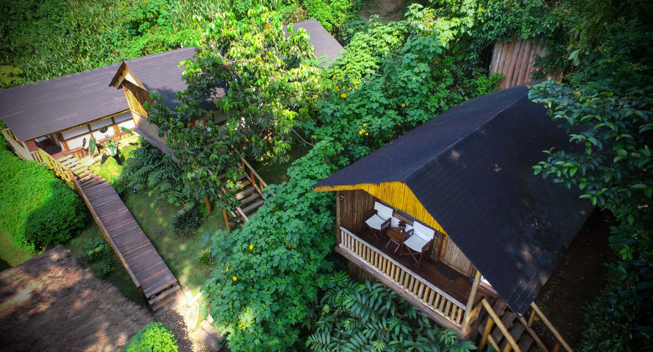 Buhoma Lodge