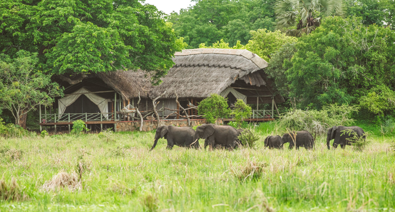 Katavi Wildlife Camp